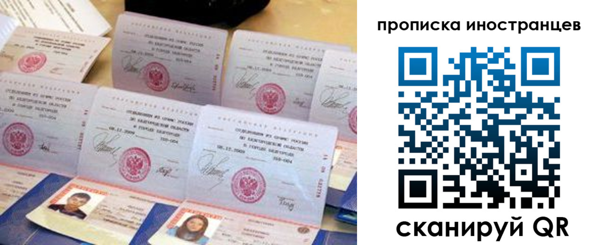 прописка для школы в Владимирской области